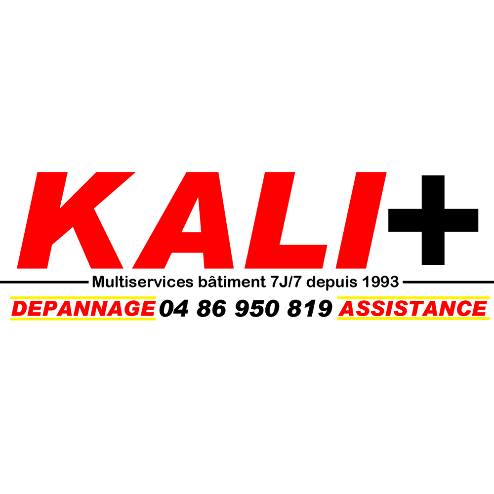 Logo de KALI PLUS